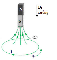 H24.3a bài 24 trang 151 vật lí 11